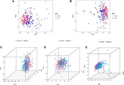 Characterization of fatty acid metabolism-related lncRNAs in lung adenocarcinoma identifying potential novel prognostic targets